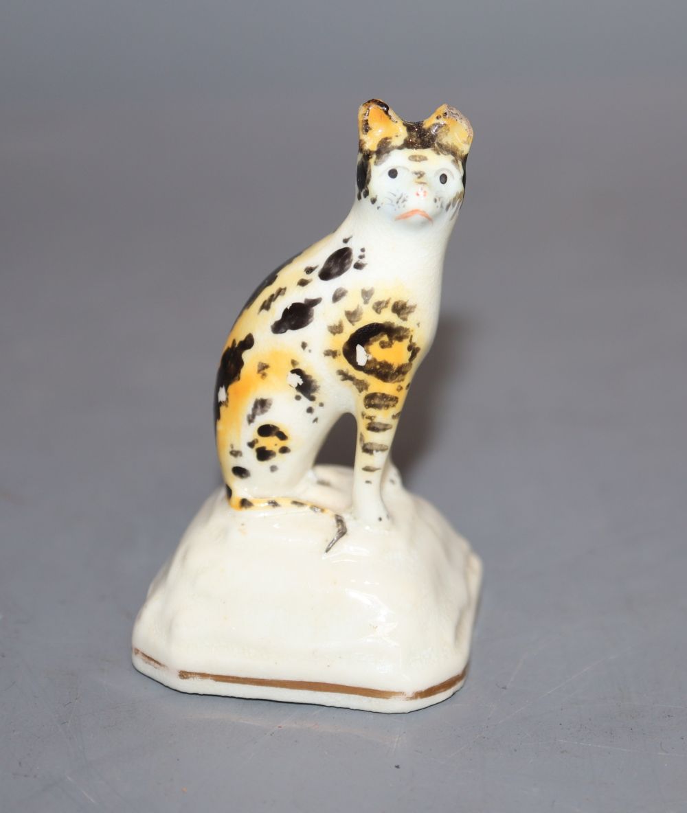 A rare Staffordshire porcelain figure of a seated cat, c.1835-50, H. 7cm